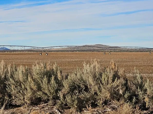 Fossil Lake Rd #Tl-1200, Christmas Valley, OR 97641