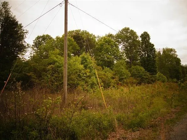 0 County Road 372, Ider, AL 35981