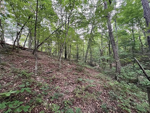 4th image of Terrapin Rd