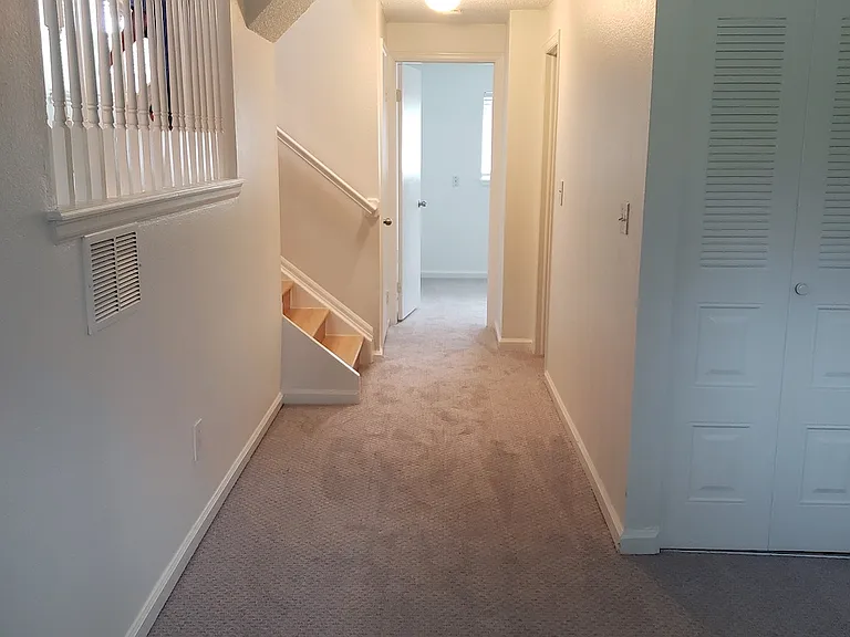 1184 Lily Ct — Photo 13