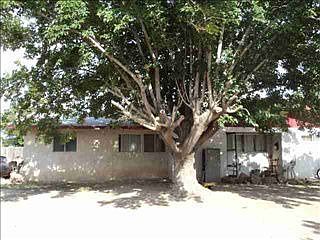 2nd image of 506 Willow Dr