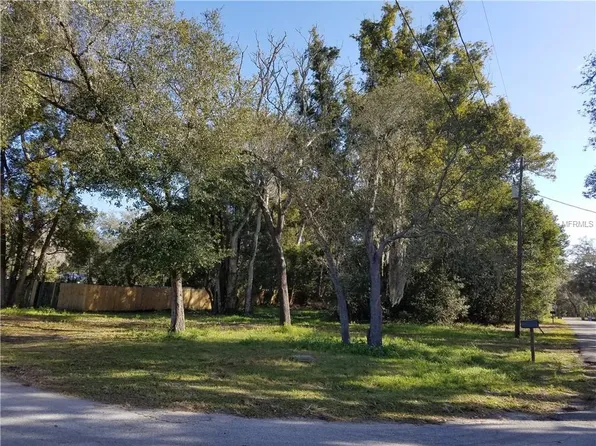19027 1st St NE, Lutz, FL 33549