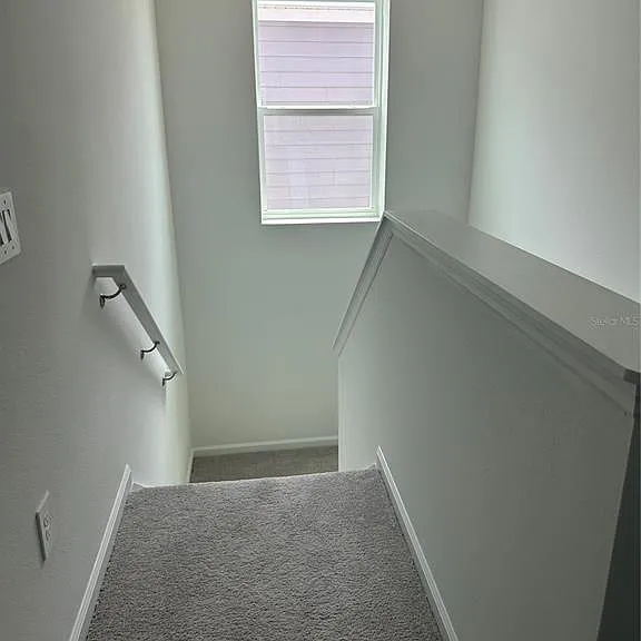 2981 Good Vibes Way — Photo 49