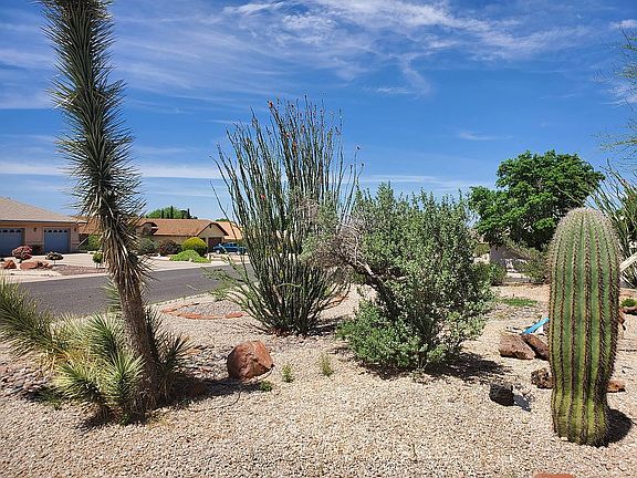 Mature Desert Landscaping 