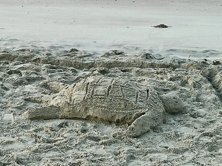 Beach fun