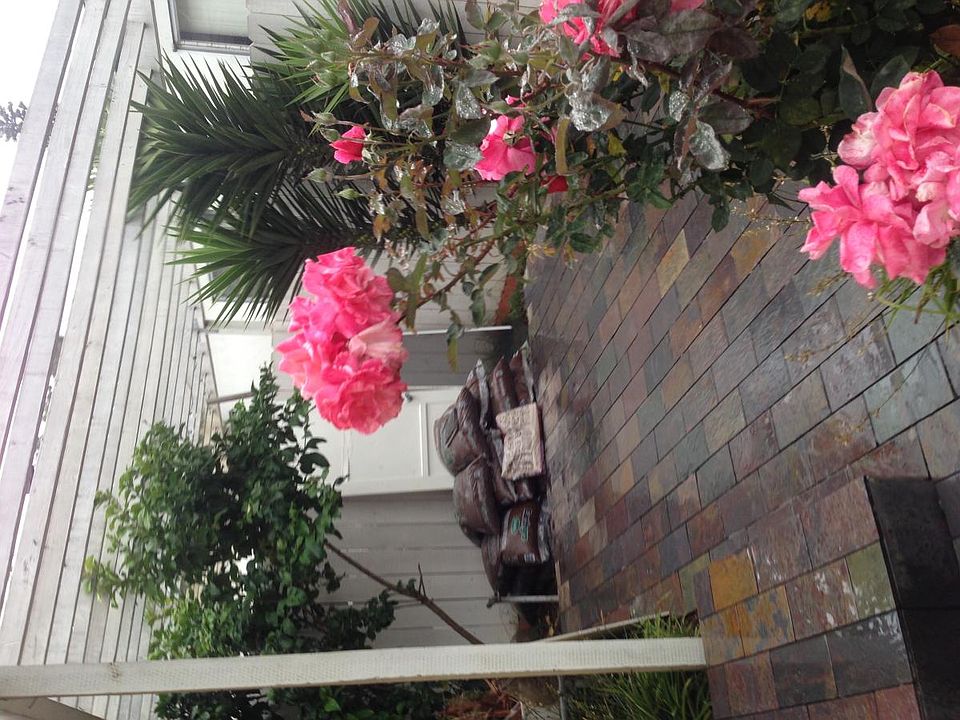 Patio,with new tile