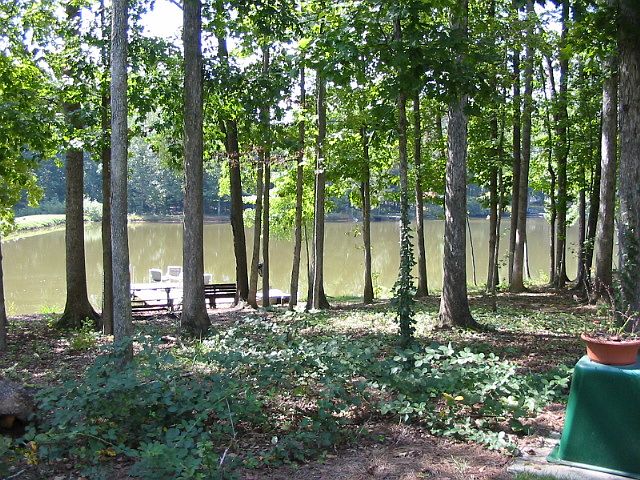 View of Lake from another lo