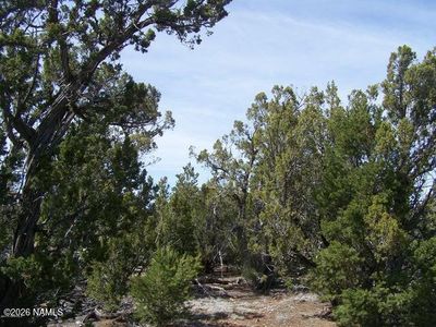 5377 N Downpour Row, Williams, AZ, 86046