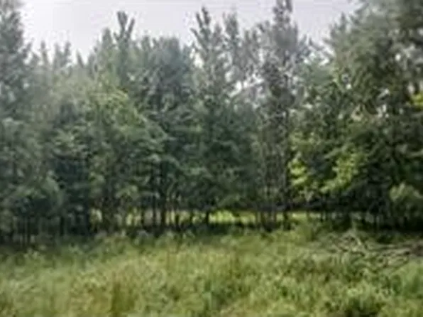Lot 5 xxx County Road D, Clayton, WI 54004