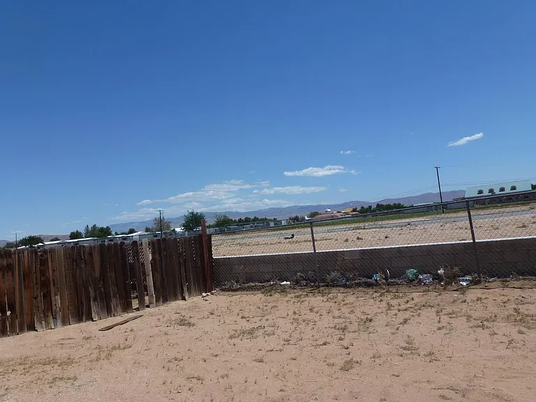 back yard