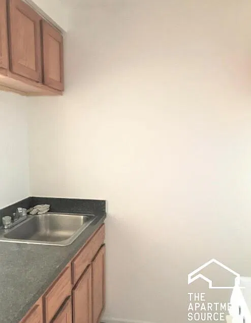 6830 North Sheridan Road #463 — Photo 2