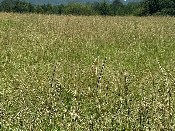 4th image of 0 County Road 7749