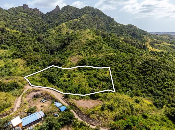 Carr #704, Coamo, PR 00769