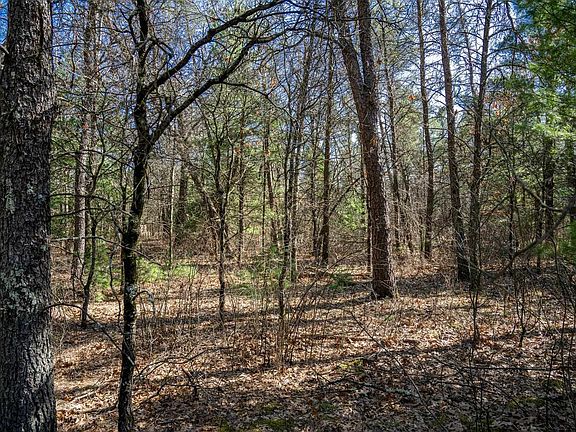 2nd image of Lot 3 Morros Mile Road #3