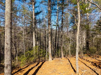 112 Big Foot Ln, Blairsville, GA, 30512