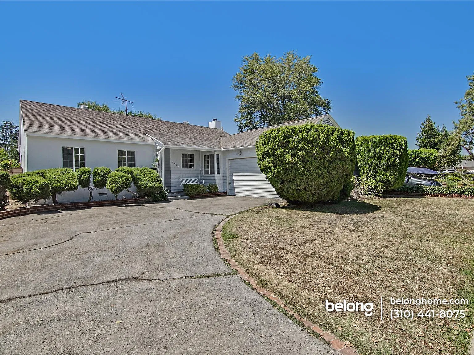 3 bed, 1.0 bath, 1335 sqft, $3,555 — Photo 4