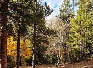 102 Gold Trail, Fairplay, CO 80440