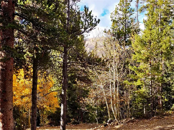 102 Gold Trail, Fairplay, CO 80440
