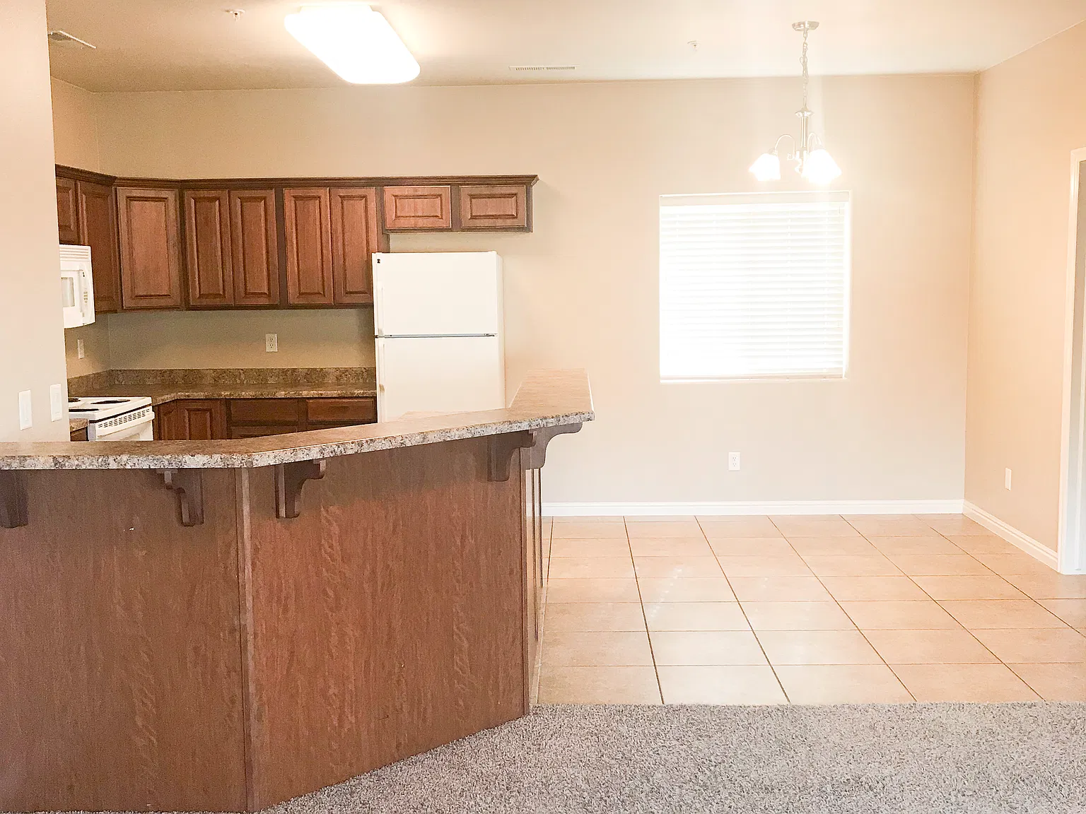 3 bed, 1350 sqft, $1,350 — Photo 4