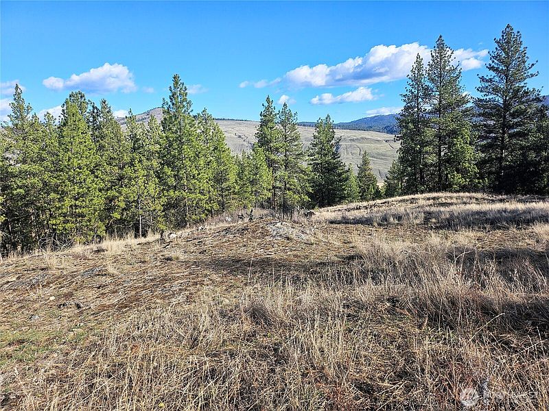 2nd image of 380 Lot Chopaka TBD Road
