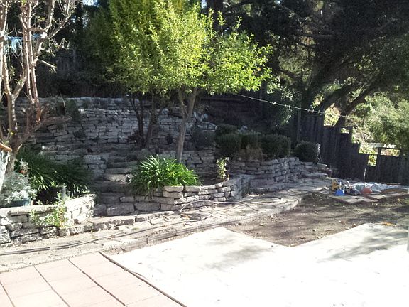 Back yard
