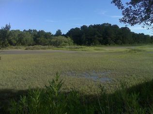 0 Needlegrass Ln, Charleston, SC 29412