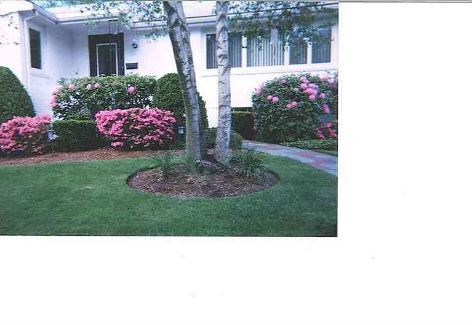 From from street / sidewalk