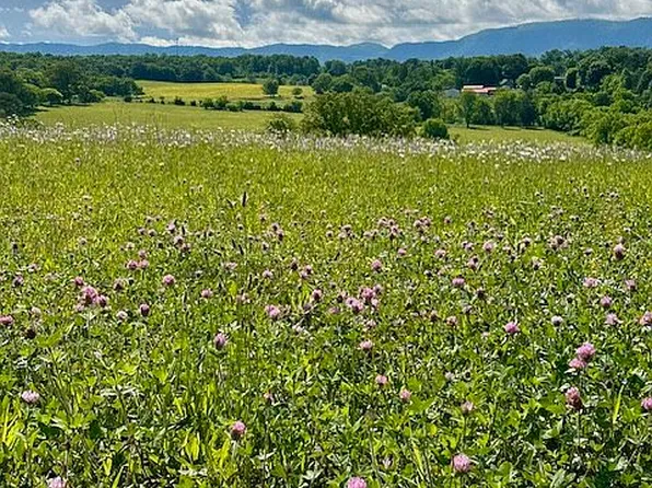 5746 Mountain Vista Ln, Maryville, TN 37804