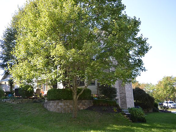 3rd image of 2316 Wellington Estates Dr
