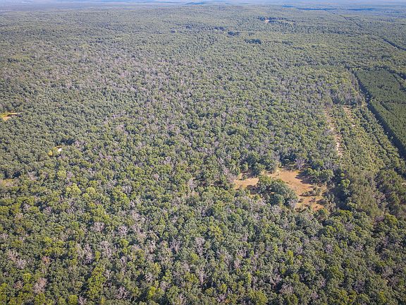 2nd image of W Ten Mile Rd