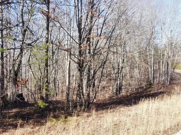 Crest View Dr, Sunbright, TN 37872