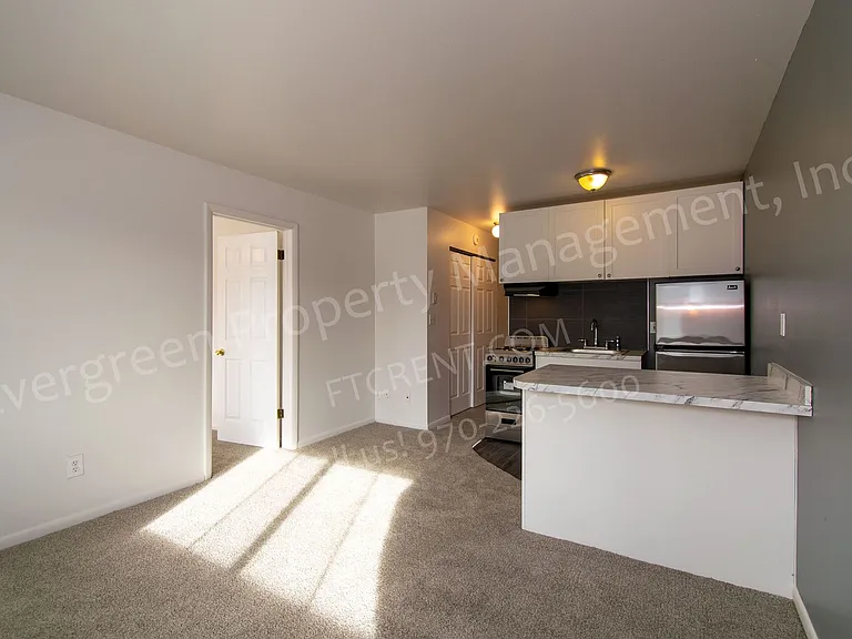 500 W Laporte Ave — Photo 74