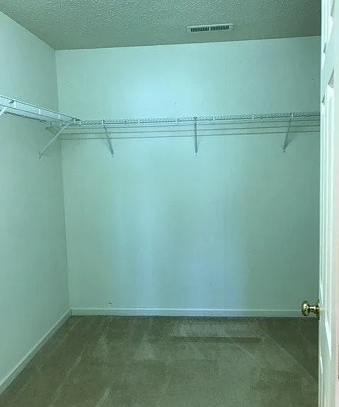 Master BR walk-in closet