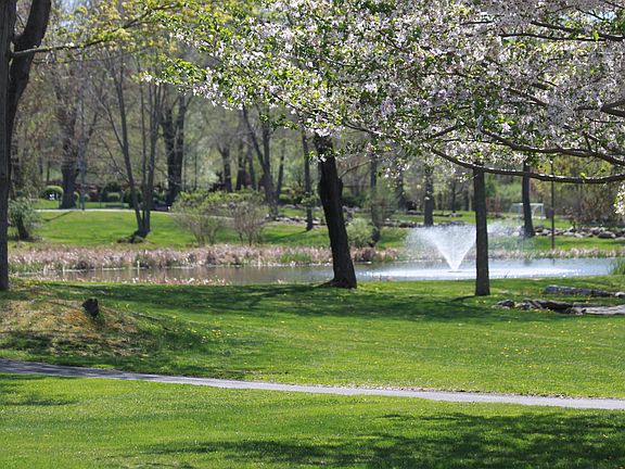 Park across the street.