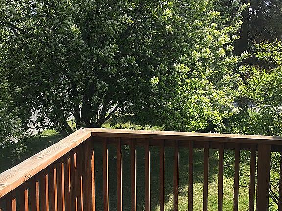 Deck Full View of Tree