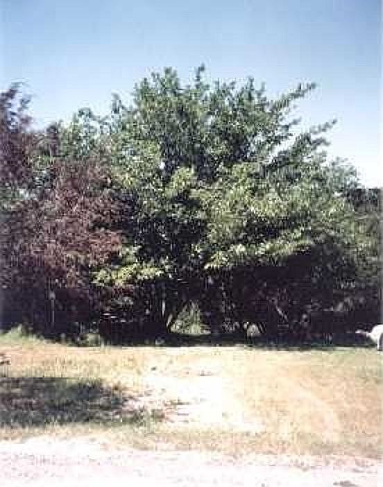1st image of 1022 Hopi Ct