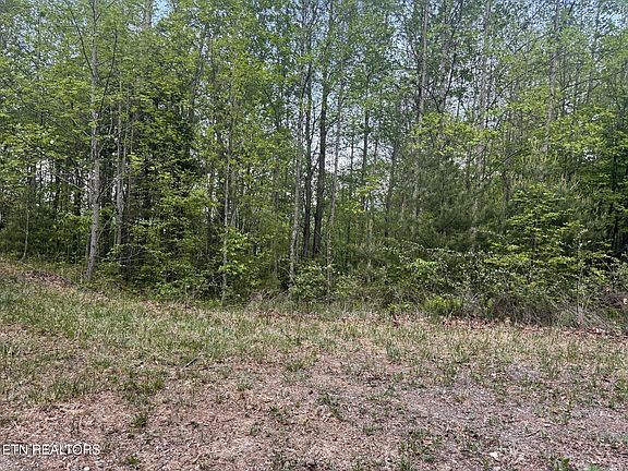 2nd image of 41 Black Maple Way Lot 41
