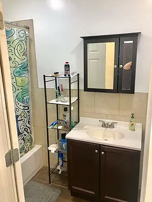 Rented by Brooklyn Bridge | media 23