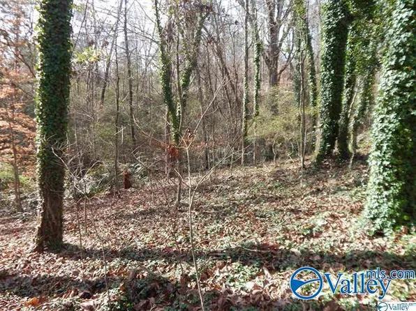 17th Alabama Ave, Fort Payne, AL 35967