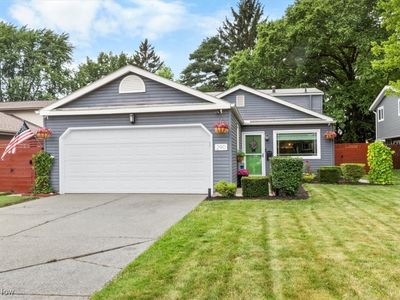 290 Butternut Ln, Berea, OH, 44017
