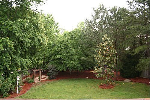 Fenced Back Yard