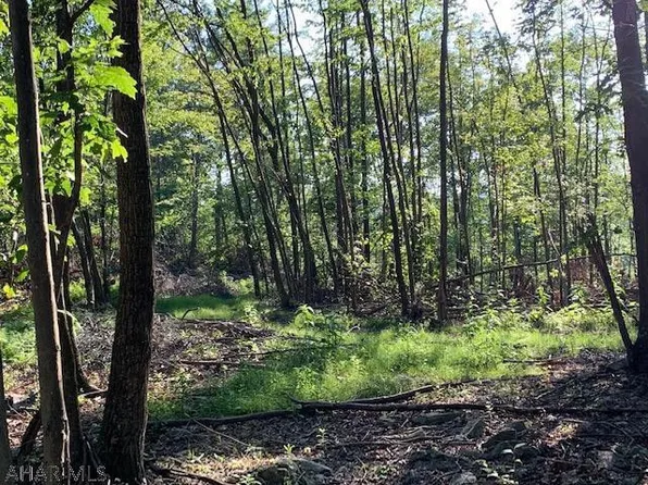 1009 Six Mile Run Rd, Six Mile Run, PA 16679