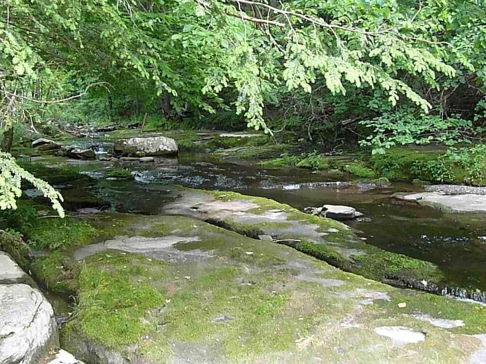 2545 Route 214, Lanesville, NY 12450 Zillow