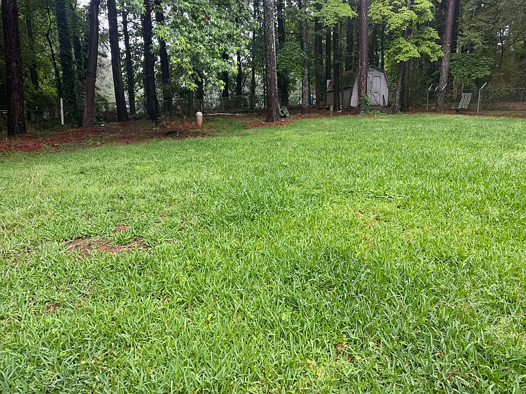backyard with tool shed
