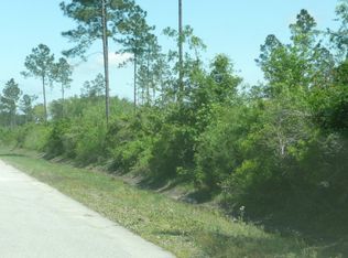 401 Old Brookman Rd, Brunswick, GA 31523