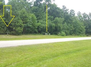 27422 Blue Cedar Ln, Spring, TX 77386