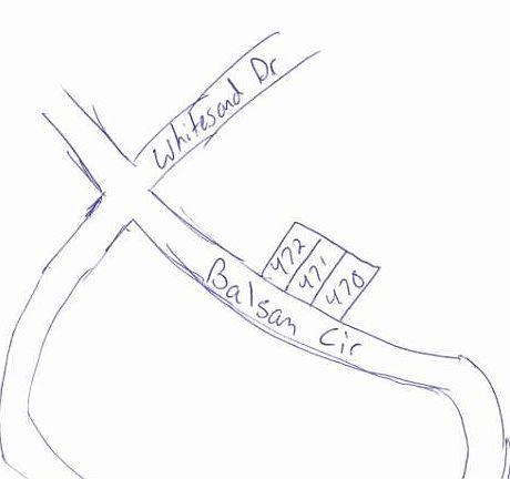 2nd image of Balsam Cir