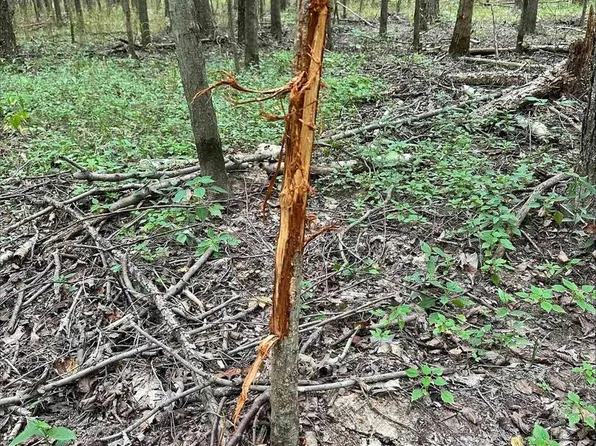 1138 E 970 County Rd, Sims, IL 62886