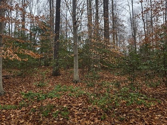 4th image of 0 Tabscott Rd