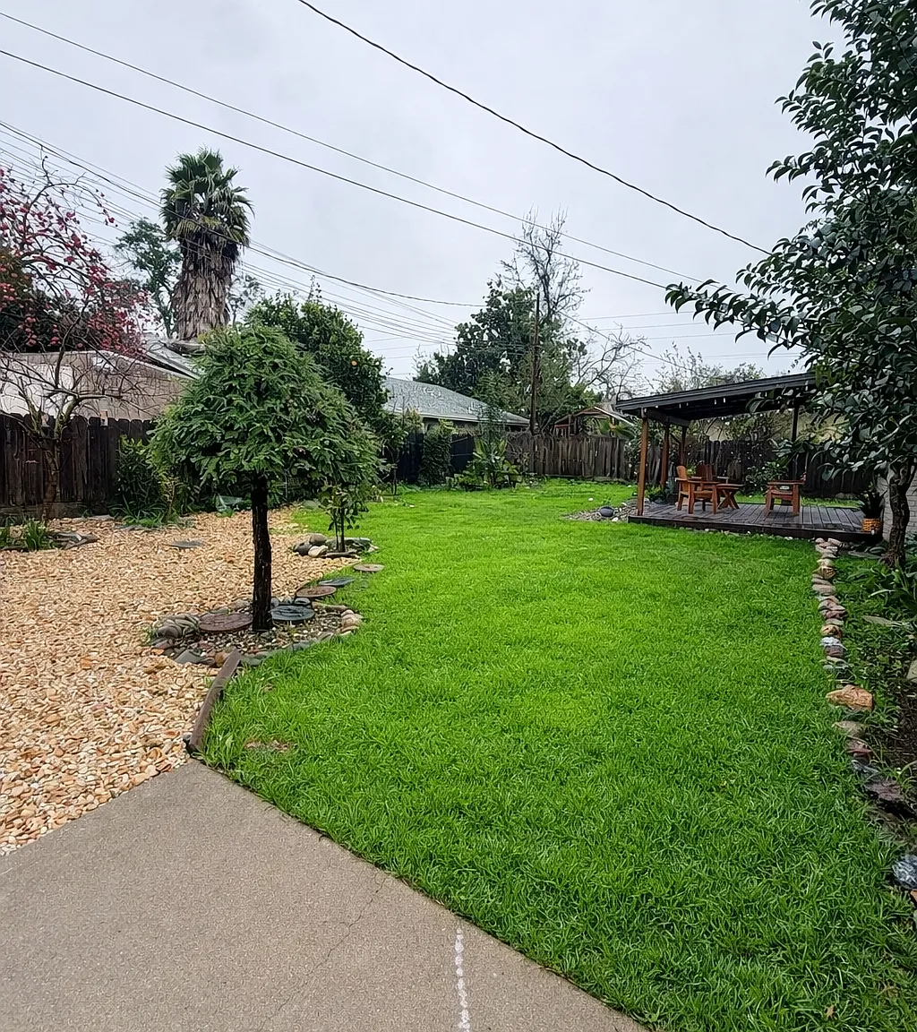 3 bed, 1168 sqft, $6,500 — Photo 4